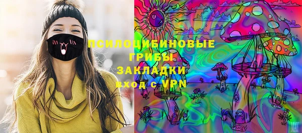 соль ск Алзамай