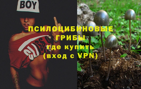 дурь Алексеевка