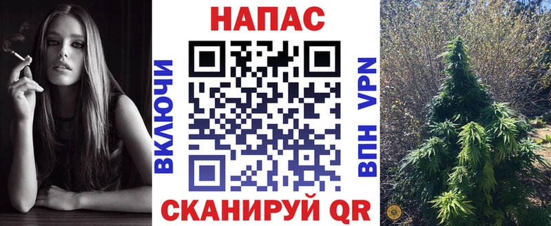 Канабис индика Долгопрудный
